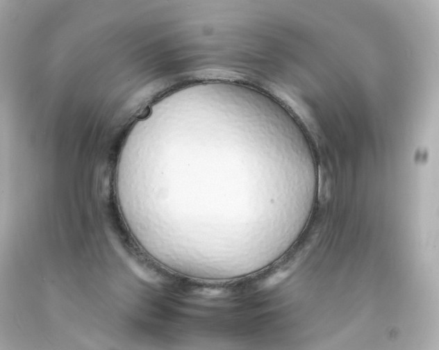 X0000093150157200710241409