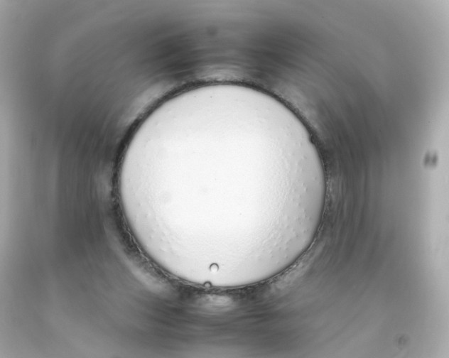 X0000093150159200710241410