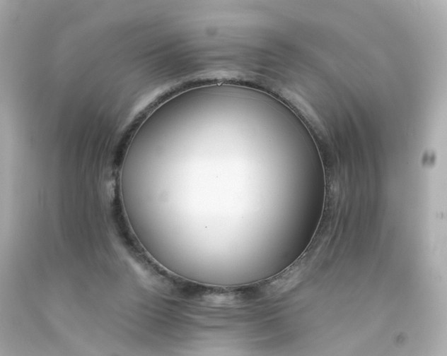 X0000093150160200710241410