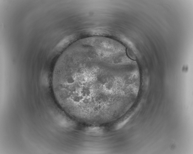 X0000093150161200710241410