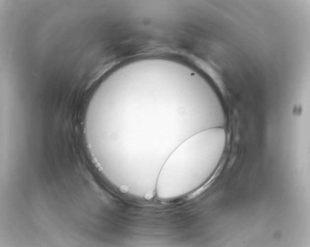 X0000093150162200710241410