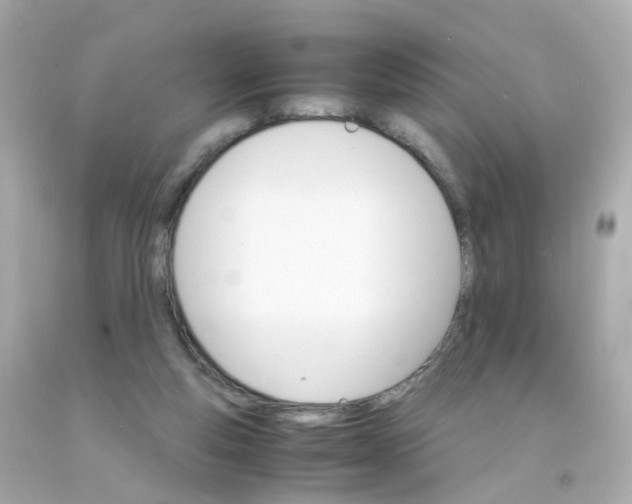 X0000093150163200710241410