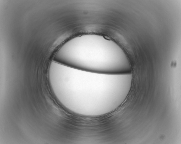 X0000093150164200710241410