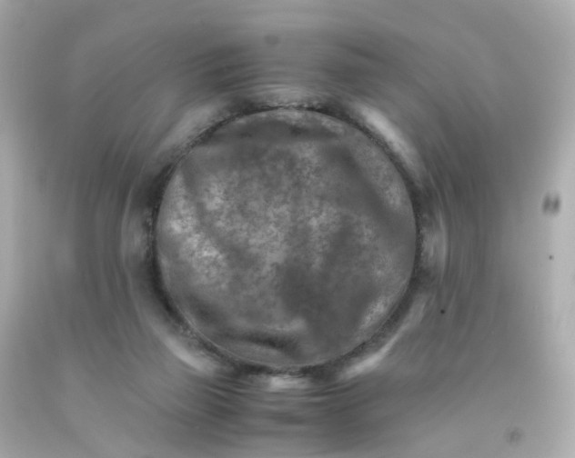 X0000093150165200710241410