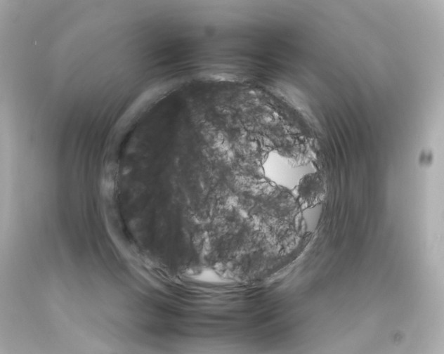 X0000093150167200710241410