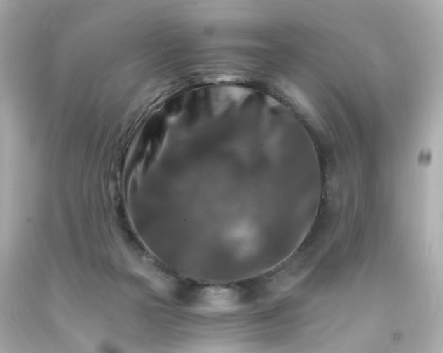 X0000093150169200710241410