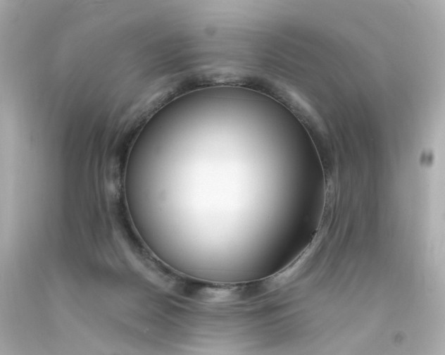 X0000093150170200710241410