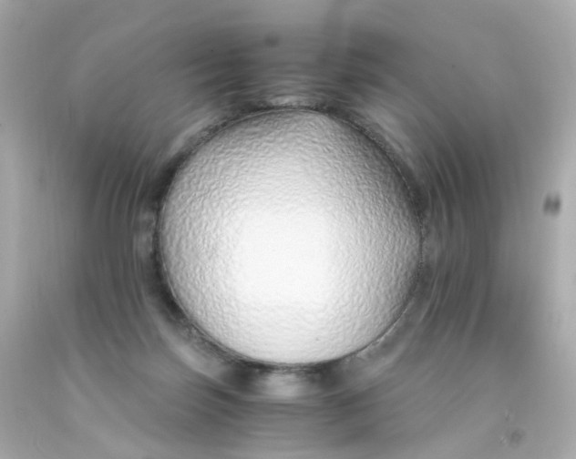 X0000093150171200710241410