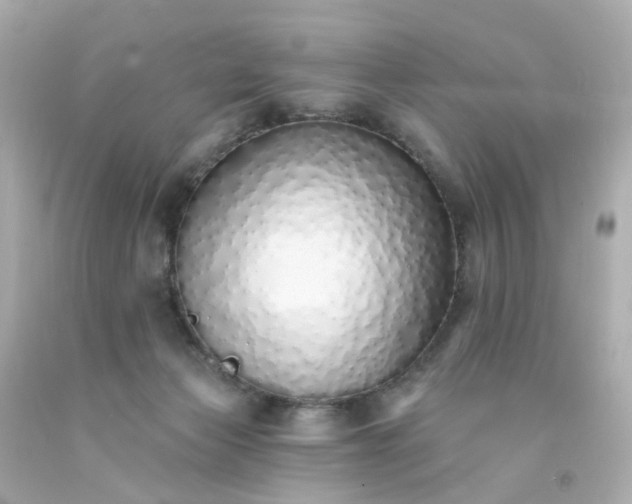 X0000093150173200710241410