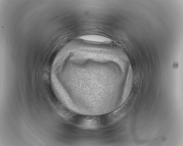 X0000093150175200710241410