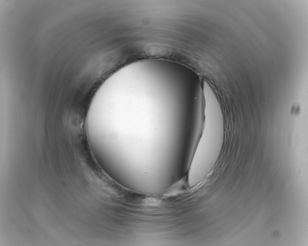 X0000093150176200710241410