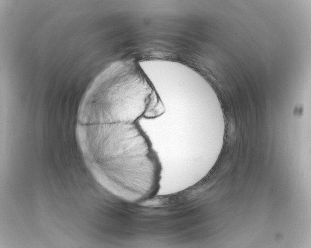 X0000093150177200710241410