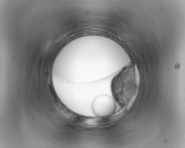 X0000093150178200710241410