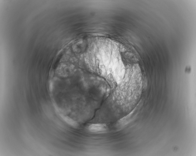 X0000093150179200710241410