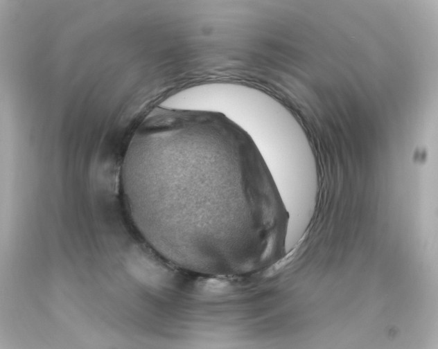 X0000093150180200710241410