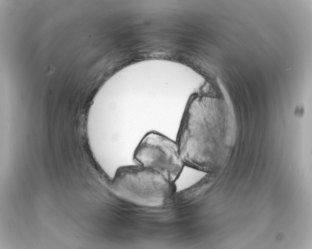 X0000093150181200710241410