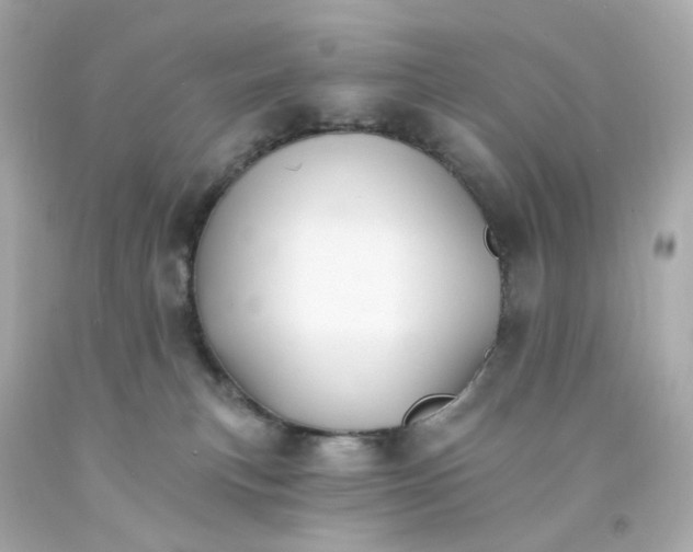 X0000093150183200710241410