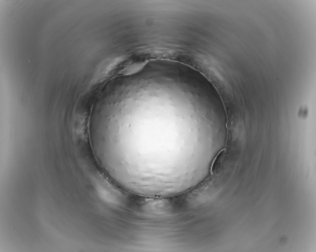 X0000093150185200710241410