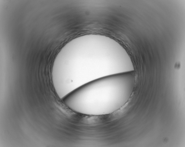 X0000093150186200710241410