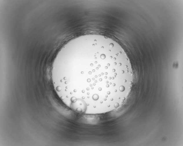 X0000093150187200710241410