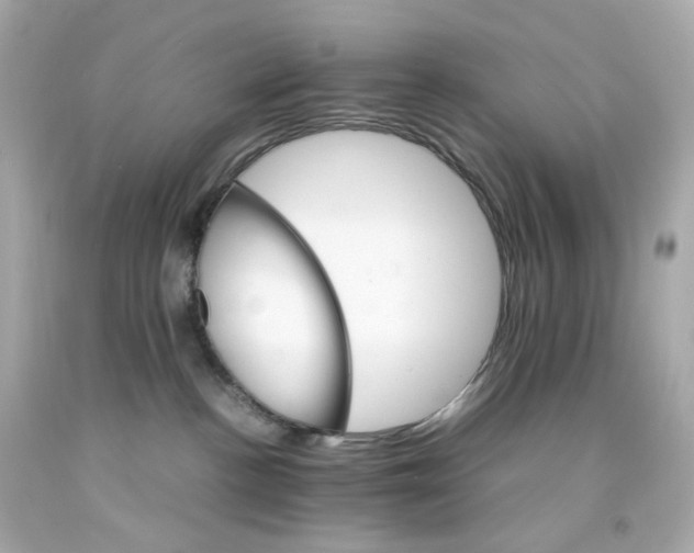 X0000093150188200710241410