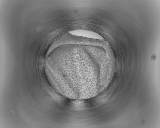 X0000093150189200710241410