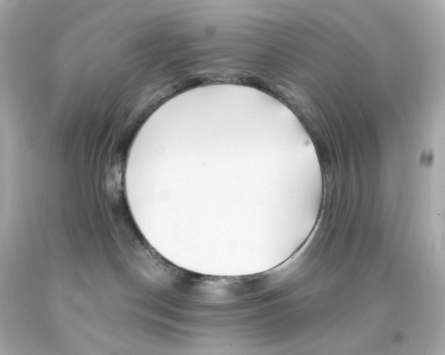 X0000093150190200710241410