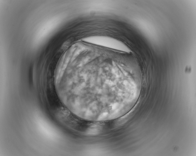 X0000093150191200710241410