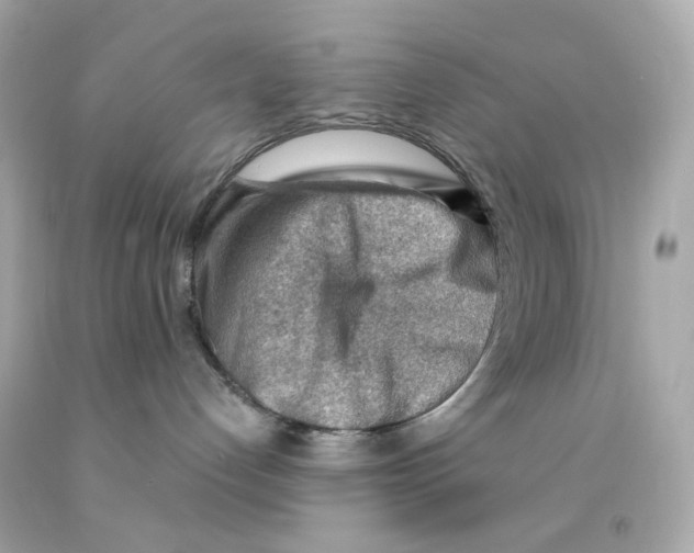 X0000093150192200710241410