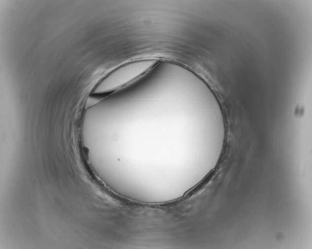 X0000093150193200710241409