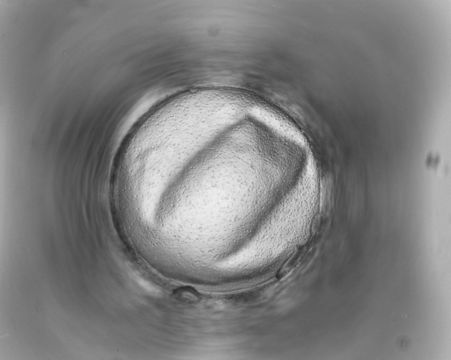 X0000093150195200710241409