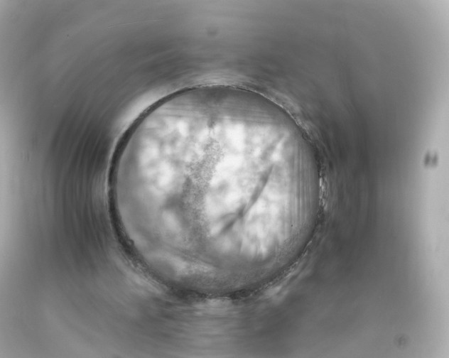 X0000093150196200710241409