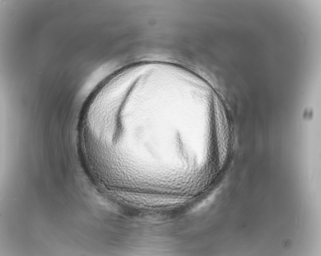 X0000093150199200710241409