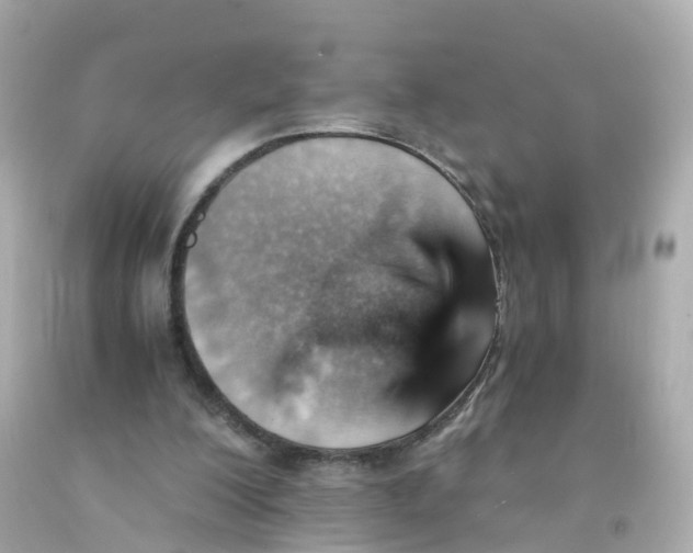 X0000093150200200710241409