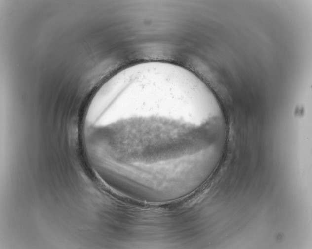 X0000093150202200710241409