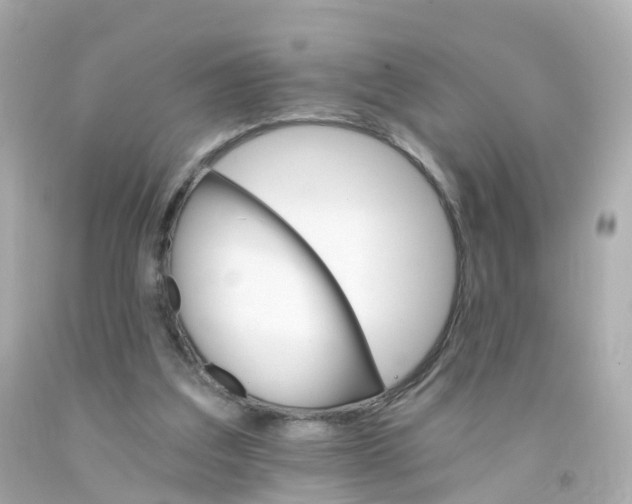 X0000093150203200710241409