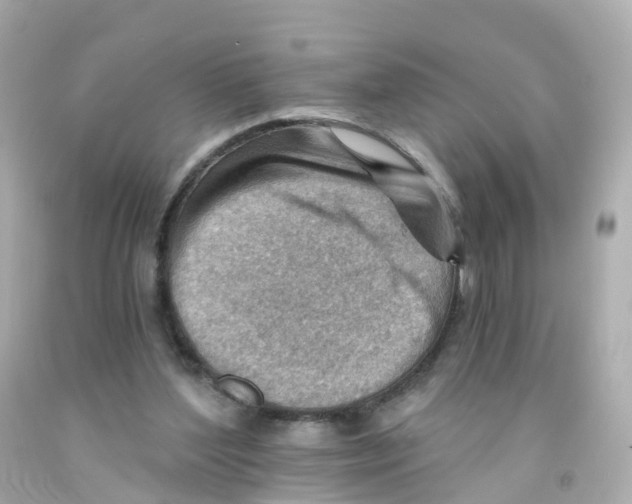 X0000093150204200710241409