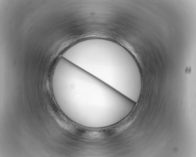 X0000093150205200710241409