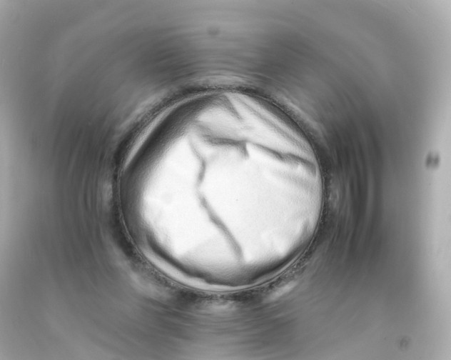 X0000093150206200710241409