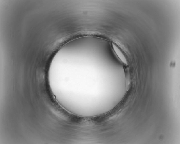 X0000093150207200710241409