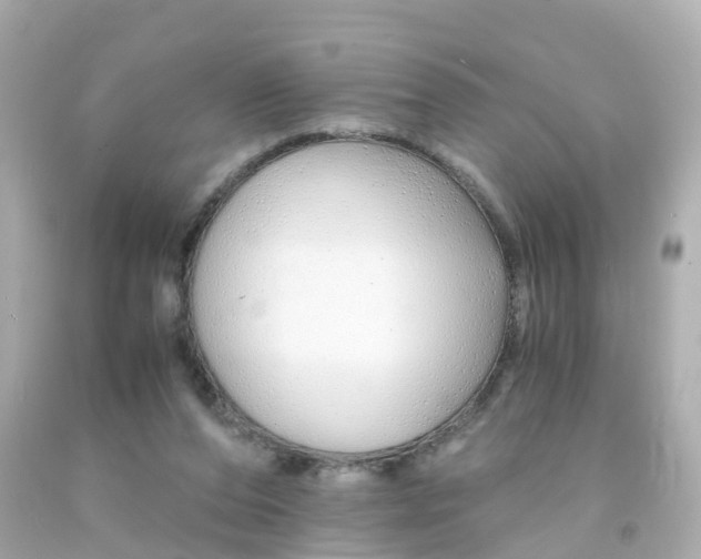 X0000093150208200710241409