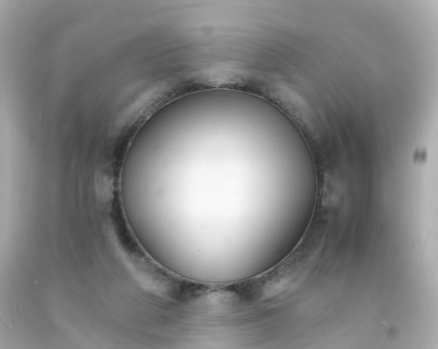 X0000093150210200710241409