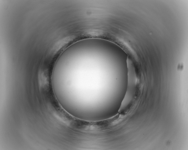 X0000093150212200710241409