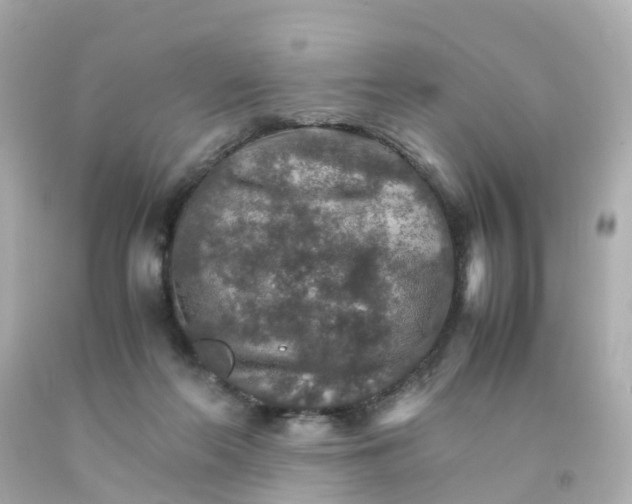 X0000093150214200710241409