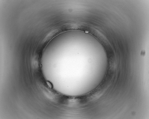 X0000093150216200710241409