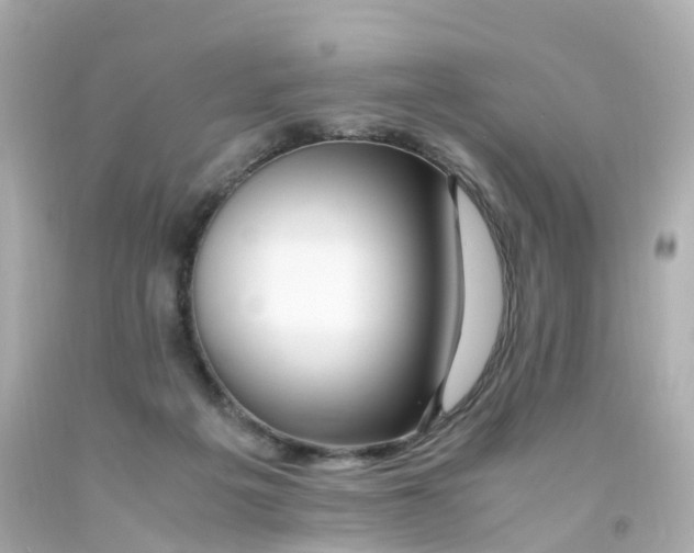 X0000093150217200710241409