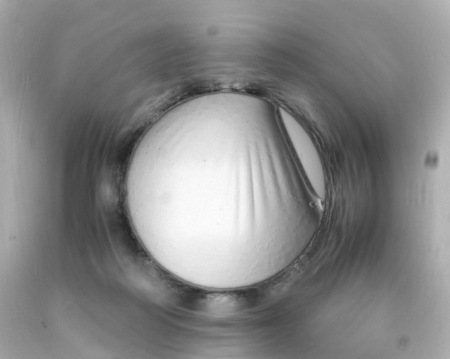 X0000093150218200710241409