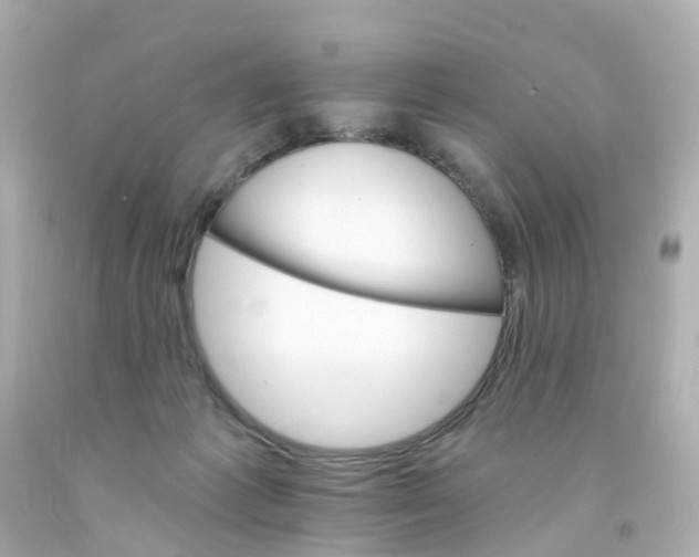 X0000093150221200710241409