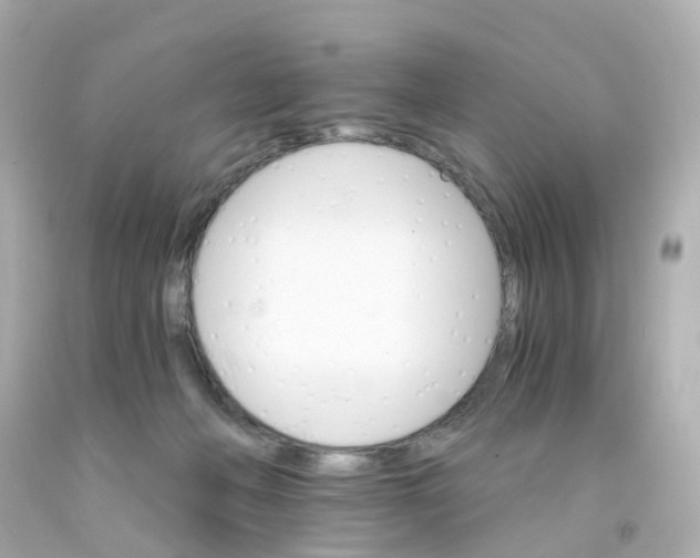 X0000093150222200710241409