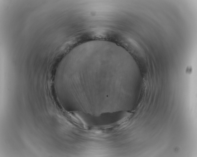 X0000093150223200710241409